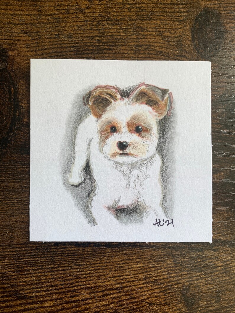 K&ouml;nnte beinhalten: Buntstiftzeichnung eines kleinen Hundes auf wei&szlig;em Papier. Der Hund hat wei&szlig;es Fell mit braunen und hellbraunen Markierungen an Ohren und Gesicht. Die Zeichnung ist unten rechts mit "AH'21" signiert.