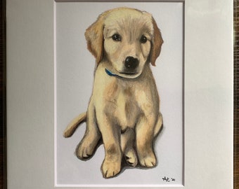 Retrato de mascota personalizado: Dibujo a mano con lápices de colores (8x10)