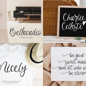 Best Seller Font Bundle Cricut Fonts, Procreate Fonts, Canva Fonts, Branding Font, Handwritten Fonts, Farmhouse Fonts, Fonts for Crafting image 9