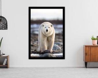 Polar bear standing on ice, wildlife photography art, Canada, Alaska, room wall art, nature, bear art, print, arctic, fine art, decor