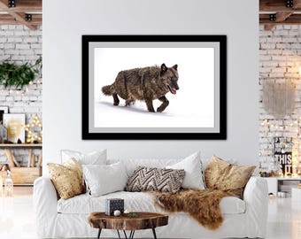 Black wolf walking on snow, wildlife photography art, room wall art, nature, decor, print, snow, fine art, winter, grey wolf, timber wolf