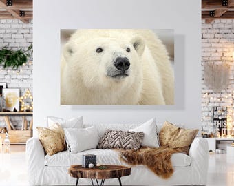 Polar bear close up, portrait, wildlife photography art, Canada, Alaska, room wall art, nature, bear art, print, polar bear art, decor