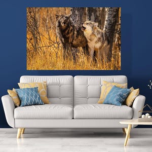 Black and grey wolves howling, wildlife photography art, room wall art, nature, decor, print, snow, fine art, winter, timber wolf