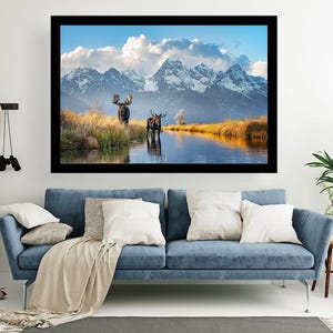 Bull Moose in front of the Tetons photo print, wildlife photography art, Grand Teton art, decor, nature, room wall art, decor, mountains