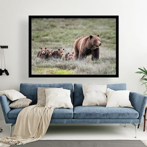 Grizzly Bear 399 and her 4 cubs walking, wildlife photography art, Grand Teton National Park, Wyoming, room wall art, nature, bear, decor