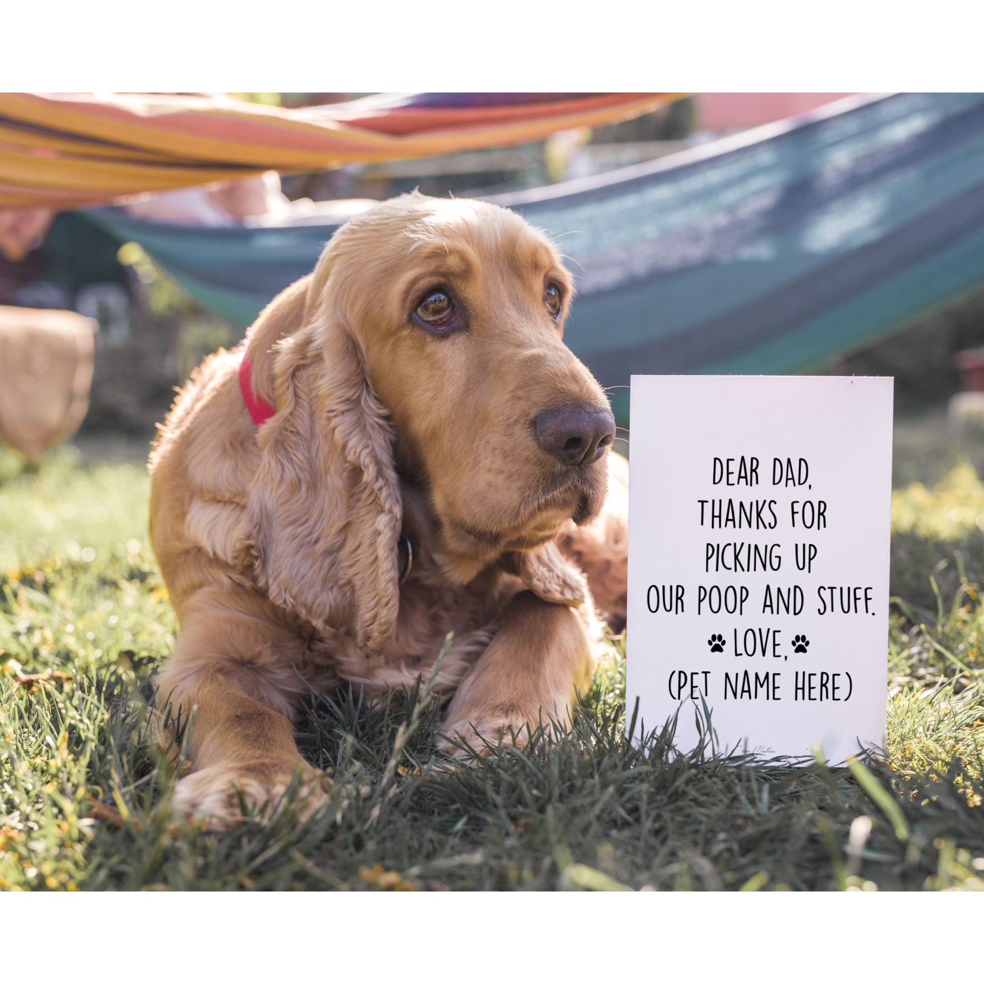 Personalized Happy Fathers Day Card From Dogs Funny Dog Dad - Etsy