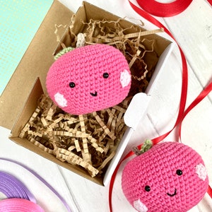 Könnte beinhalten: Zwei rosa gehäkelte Äpfel mit lächelnden Gesichtern und weißen Akzenten in einer braunen Box mit zerknülltem Papier. Die Äpfel sind handgefertigt und haben ein süßes, verspieltes Design.