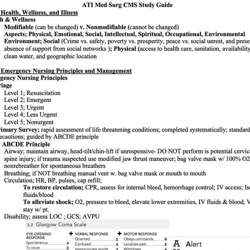 Get a Level 2 or Higher Adult Medical Surgical ATI CMS Etsy