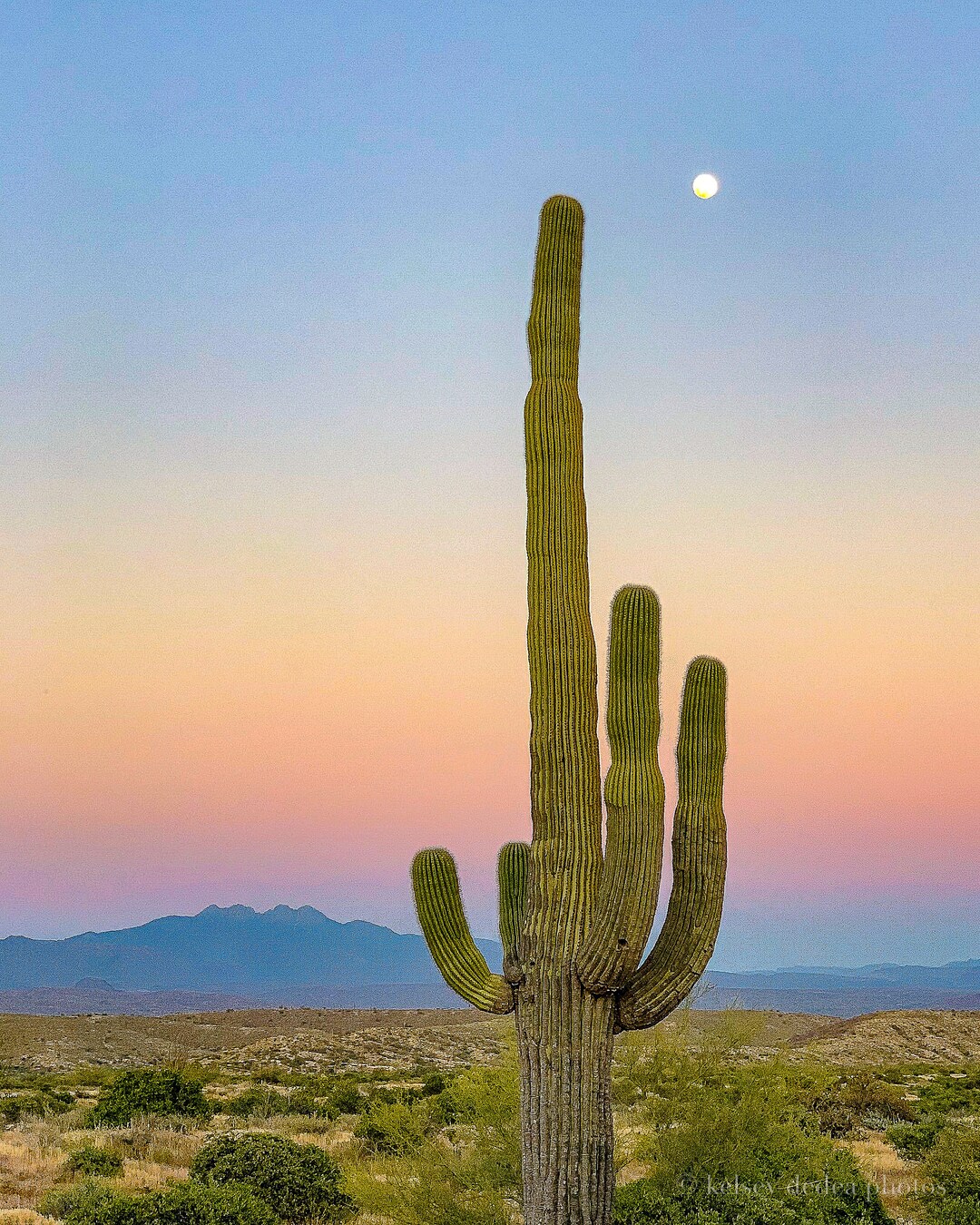 Four Peaks and Saguaro Print - Etsy