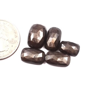 Puede incluir: Cinco gemas facetadas de color marrón oscuro, de forma rectangular, se muestran sobre una superficie blanca. Una moneda se coloca junto a las gemas para comparar el tamaño. Las gemas tienen una superficie pulida y reflectante.
