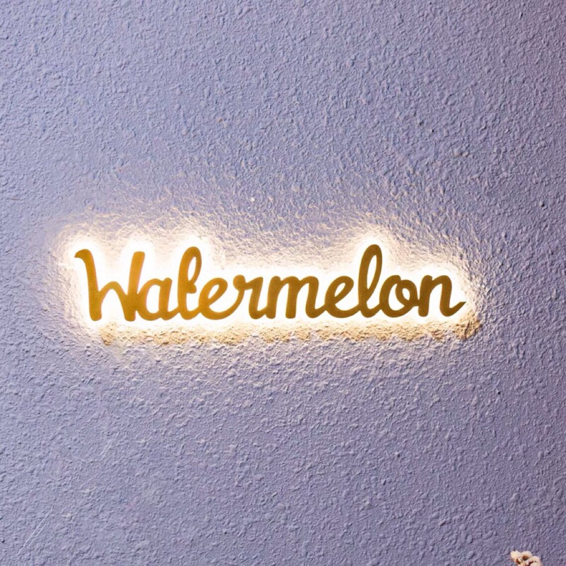 Custom Stainless Steel Logo Sign Illuminated Logo Sign Etsy