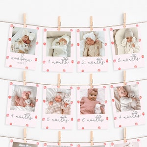 Editable Berry First Birthday Party Photo Banner, Baby&#39;s First Year Photo Banner, Strawberry 1st Year Banner Editable Template SB1