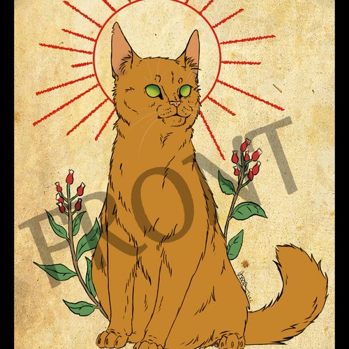 Warrior Cat Tarot Deck Major Arcana Etsy