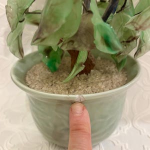 May include: A decorative jade tree in a light green ceramic pot. The tree features translucent green leaves and a brown trunk. The pot is filled with small, light-colored pebbles. The pot has a textured design.