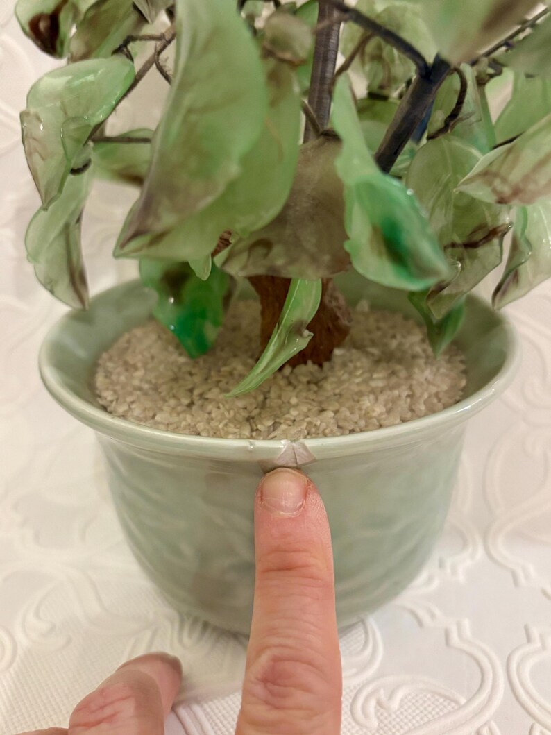 May include: A decorative jade tree in a light green ceramic pot. The tree features translucent green leaves and a brown trunk. The pot is filled with small, light-colored pebbles. The pot has a textured design.