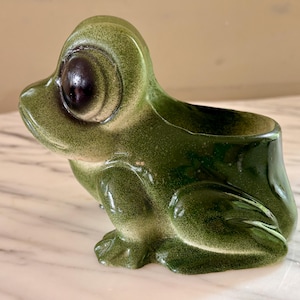 MCM Indoor Bug Eyed Frog Planter