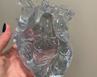 Órgano de corazón de resina, pinta el tuyo propio, enfermedad cardíaca, cardiólogo, regalo de médico, regalo de anatomía, niños, ciencia, pisapapeles, oficina
