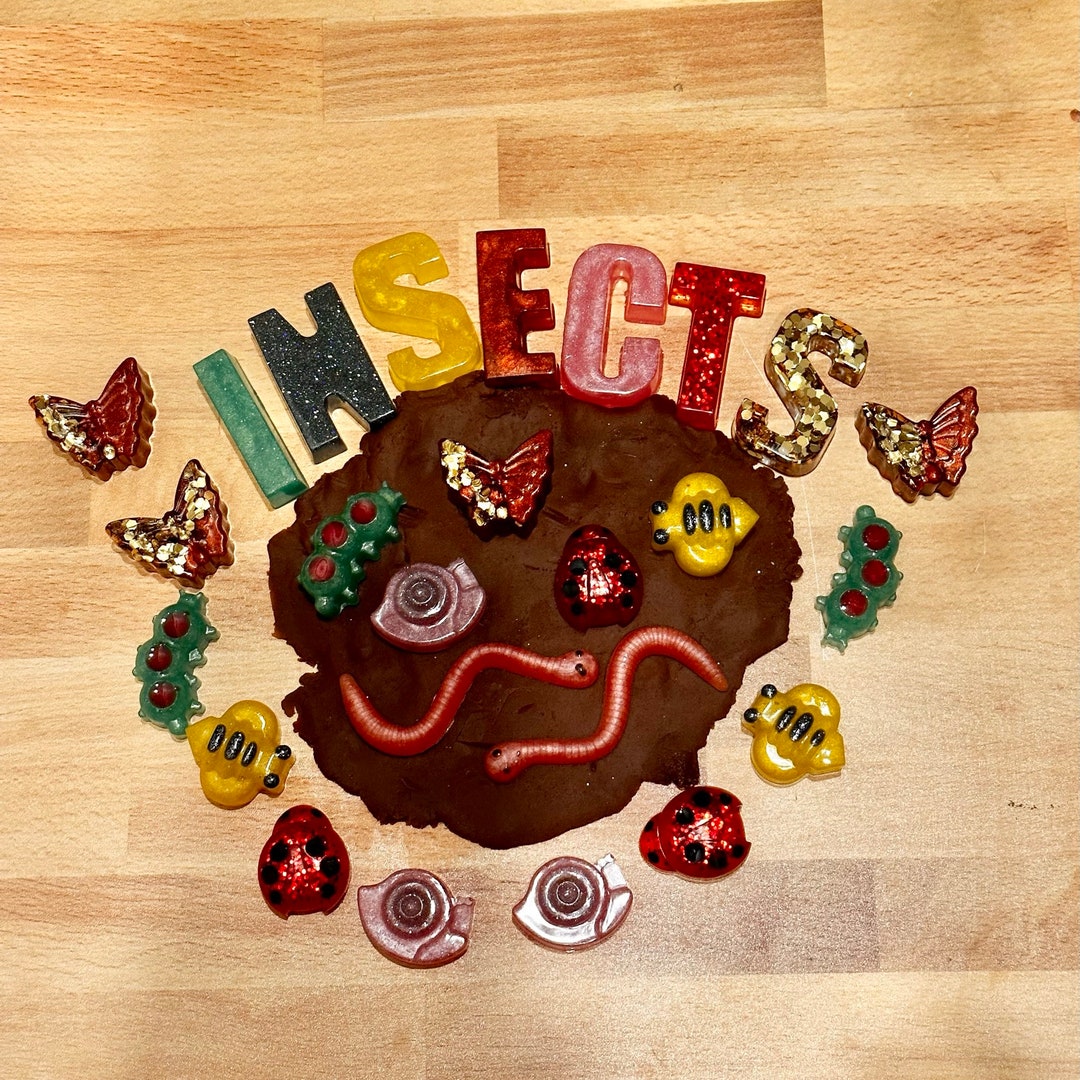 Insect Resin Kit Bugs Mud Play Outdoors Spring Summer Etsy