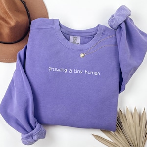 Rozwijanie maleńkiego ludzkiego ogłoszenia o ciąży bluza z kapturem Comfort Colors, prezent ciążowy, bluza ciążowa Baby Reveal, prezent dla oczekujących