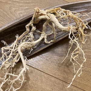 Op de afbeelding: Een decoratieve opstelling van gedroogde, lichtbeige wortels en takken, kunstzinnig gerangschikt in een lange, ondiepe houten schaal. De wortels hebben een complexe, verweven structuur, waardoor een natuurlijke, organische esthetiek ontstaat. De schaal is donkergrijs.
