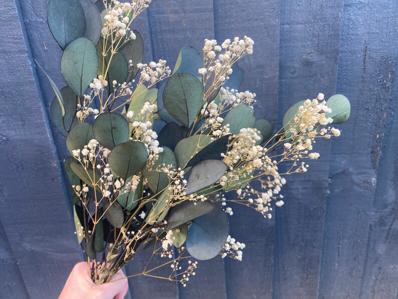 Eucalyptus and Gypsophila Arrangement Gypsophila and Etsy