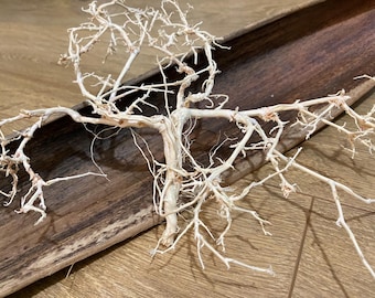 May include: White bleached driftwood branches arranged in a tree shape, resting on a brown wooden tray.