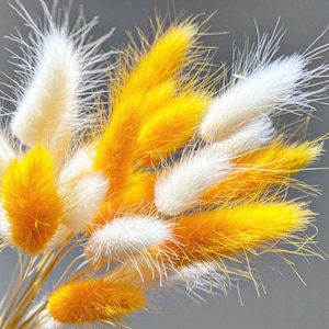 Flores secas em caixa de correio mista, caixa de correio DIY seca. Lindas caudas de coelho secas misturadas, mini grama natural de pampas, delicada grama lagurus