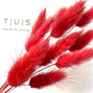 Regalos de San Valentín, flores secas para buzón rojo, flores secas para buzón hechas a mano. Hermosas colas de conejo secas rojas, delicada hierba lagurus