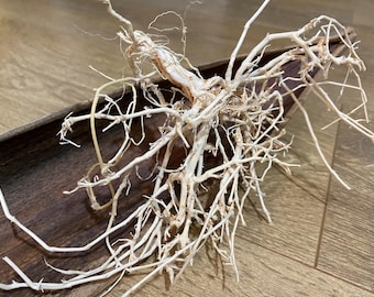 May include: A cluster of white, dried, and twisted roots in a wooden bowl. The roots are arranged in a natural, organic pattern, creating a unique and interesting display.
