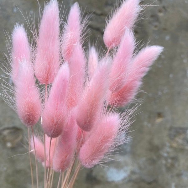 Pink Letterbox flowers, DIY Letter Box Dried. Beautiful pink dried bunny tails, Natural Rustic home decor, delicate pink lagurus grass
