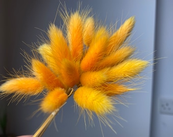 20 Small Orange lagurus stems, DIY Letterbox. Beautiful orange dried bunny tails, Natural Rustic home decor, delicate lagurus grass