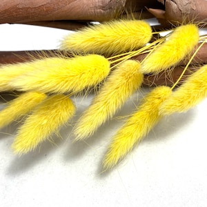 Flores de Pascua. Flores secas amarillas para buzón, flores secas para buzón hechas a mano. Hermosas colas de conejo secas amarillas, decoración rústica natural para el hogar