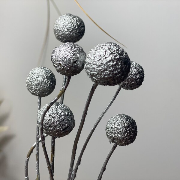 Silver Letterbox dried flowers, Craspedia Dried Grass Stems, Ideal For Dried Flower Arranging, Silver Grass Stems, Letterbox flowers