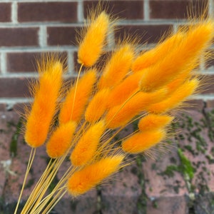 Flores secas de Buzón naranja, Buzón de bricolaje seco. Hermosas colas de conejo secas de naranja, decoración natural rústica del hogar, delicada hierba lagurus