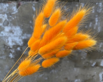 Orange Letterbox dried flowers, DIY Letter Box Dried. Beautiful orange dried bunny tails, Natural Rustic home decor, delicate lagurus grass