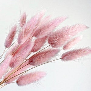 Flores secas de buzón rosa, buzón de bricolaje seco. pequeña hierba de pampa rosa, decoración natural, delicada hierba lagurus rosa, decoración navideña