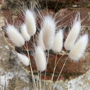 Briefkasten getrocknete Blumen, DIY Briefkasten Getrocknet. Wunderschöne naturbelassene getrocknete Hasenschwänze, naturbelassenes rustikales Wohndekor, zartes weißes Lagurusgras