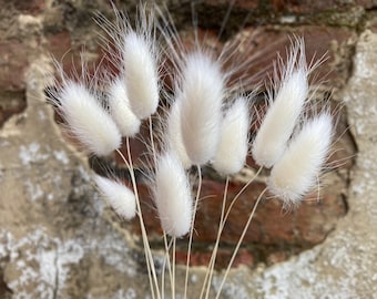 Boîte aux lettres fleurs séchées, boîte aux lettres DIY séchée. Belles queues de lapin séchées naturelles, décoration intérieure rustique naturelle, herbe lagurus blanche délicate