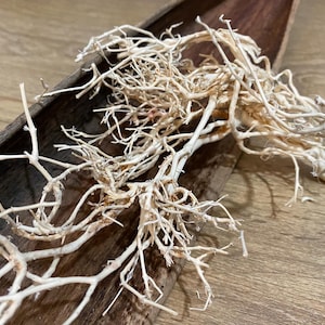 Dried Root, Bleached root, Unique root, Christmas decoration supplies, Natural dried bleached wood root for decorations