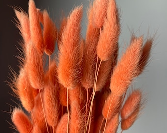 Tarracota Letterbox dried flowers, DIY Letterbox Dried. Beautiful natural dried bunny tails, Natural Rustic home decor