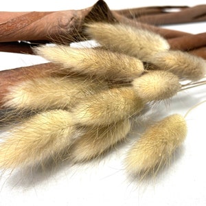 Letterbox dried flowers. DIY Letterbox. Beautiful natural dried bunny tails, Natural Rustic home decor. Lagurus stems.