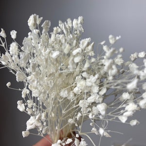 5 gr bunch of Preserved Gypsophila stems, Gypsophila for cake decoration , long lasting eco friendly flowers, flowers for diy project