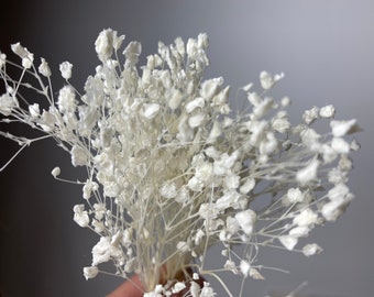 5 gr bunch of Preserved Gypsophila stems, Gypsophila for cake decoration , long lasting eco friendly flowers, flowers for diy project