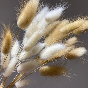 Flores secas em caixa de correio mista, caixa de correio DIY seca. Lindas caudas de coelho secas misturadas, mini grama natural de pampas, delicada grama lagurus