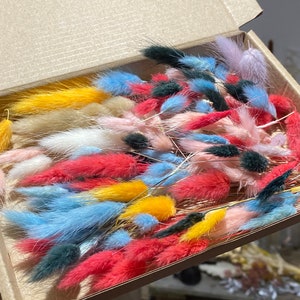 Cup cake toppers bunny tails. Box of mixed mini lagurus pampas. Cake topper bunny tails. Mixed Box of bunny tails. DIY project.