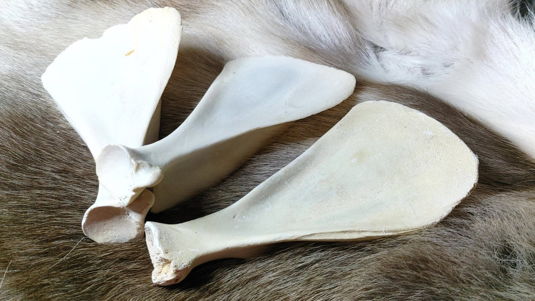 This item is unavailable Etsy