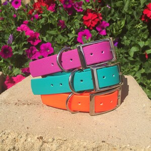 May include: A stack of four colorful dog collars. The collars are in bright shades of pink, teal, and orange, each with a silver buckle and a matching silver ring for leash attachment. The collars are stacked on a stone surface, with a backdrop of vibrant flowers.