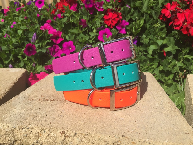 May include: A stack of four colorful dog collars. The collars are in bright shades of pink, teal, and orange, each with a silver buckle and a matching silver ring for leash attachment. The collars are stacked on a stone surface, with a backdrop of vibrant flowers.