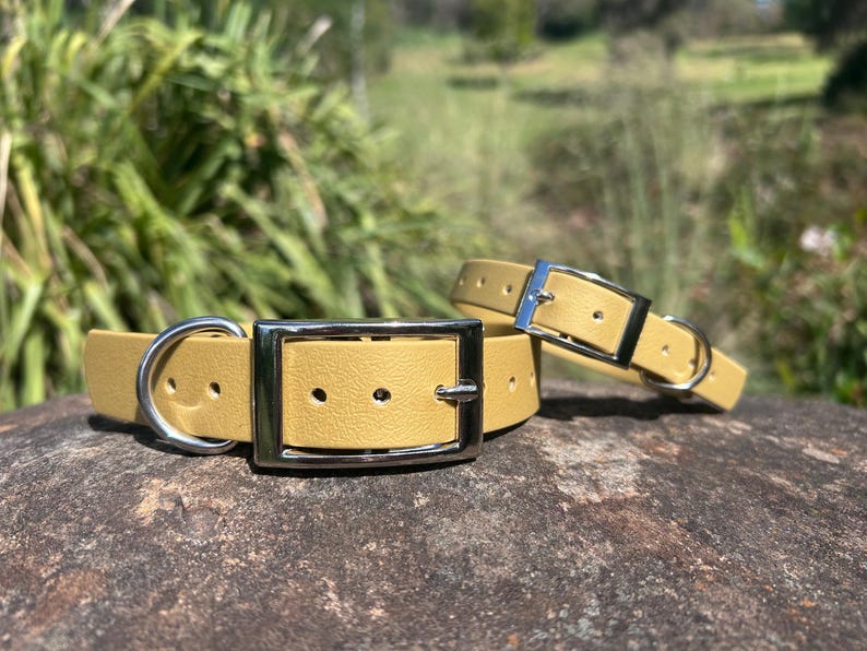 May include: Two mustard-colored dog collars with silver-tone hardware. The collars are made of a smooth material and feature a classic buckle design. One collar is fully assembled, while the other is partially assembled.