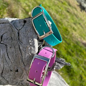 May include: Two dog collars in teal and magenta, each with a silver-colored buckle. The collars are made of a flexible material and are displayed on a piece of weathered wood, with a blurred green background.